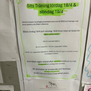 Sits-träning med Reneé Knutsson